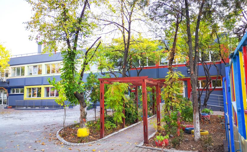 Gradinita Insir-te margarite - DAUI.ro