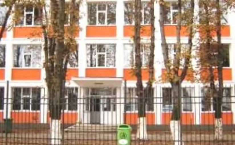 Scoala Gimnaziala Martisor